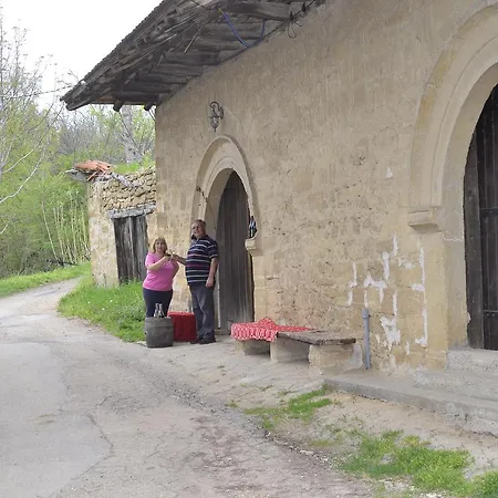 Guest house 